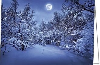 Weihnachtskarte "helle Mondnacht"