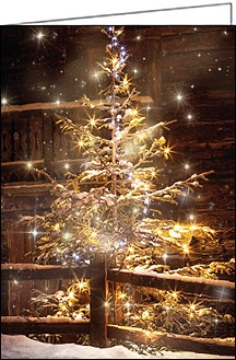 Weihnachtskarte "stimmungsvoller Weihnachtsbaum"