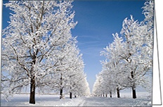 Weihnachtskarte "Winterharmonie"