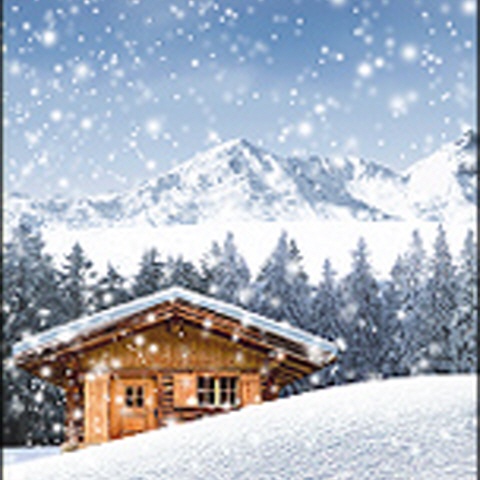 Weihnachtskarten "See-Winterlandschaft"
