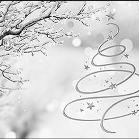 Weihnachtskarten "the silver christmas tree"