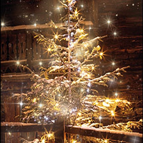 Weihnachtskarten "stimmungsvoller Weihnachtsbaum"