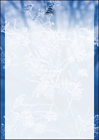 Weihnachtsbriefpapier "winter moments"