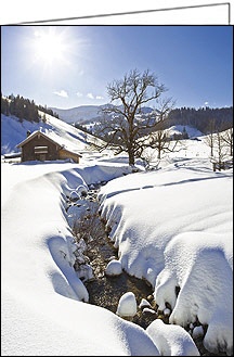 Weihnachtskarten "am Bach"