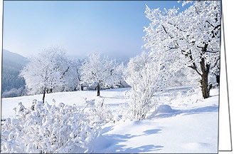 Weihnachtskarte "Snowfeelings 03"