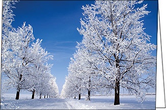 Weihnachtskarten "Snowfeelings 01"