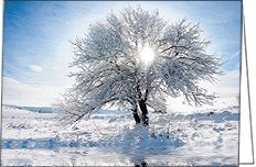 Weihnachtskarten "See-Winterlandschaft"